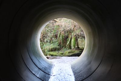 Culvert Clearing in Tuscaloosa, AL
